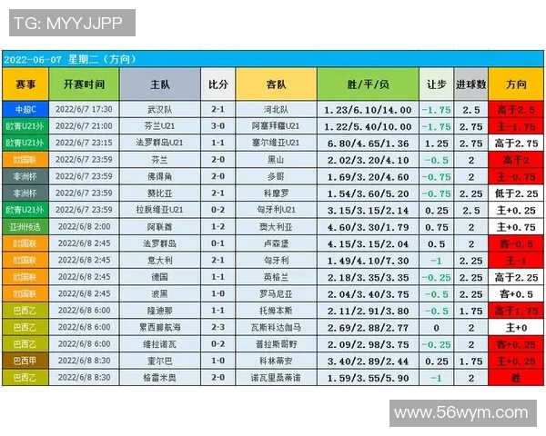 南京足球队实力揭秘：从历史到现状的全面分析与展望