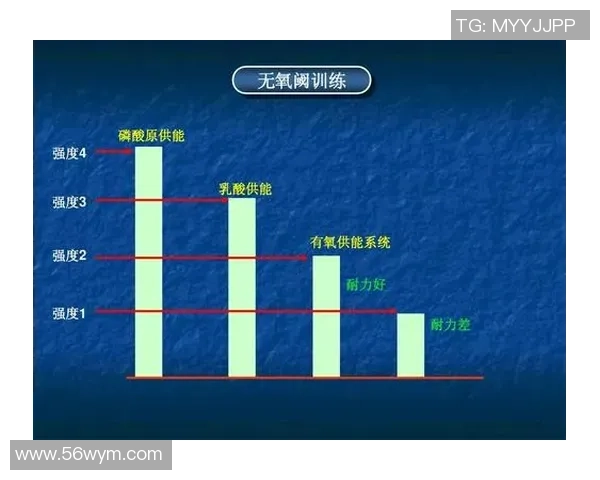 羽毛球深度解析：北京羽毛球队如何实现整体压制与战术优势